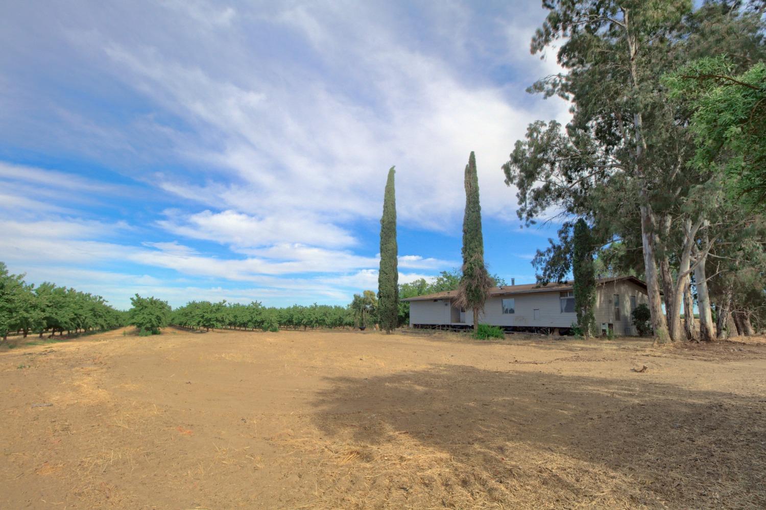 Wagner Avenue, Arbuckle, California image 11