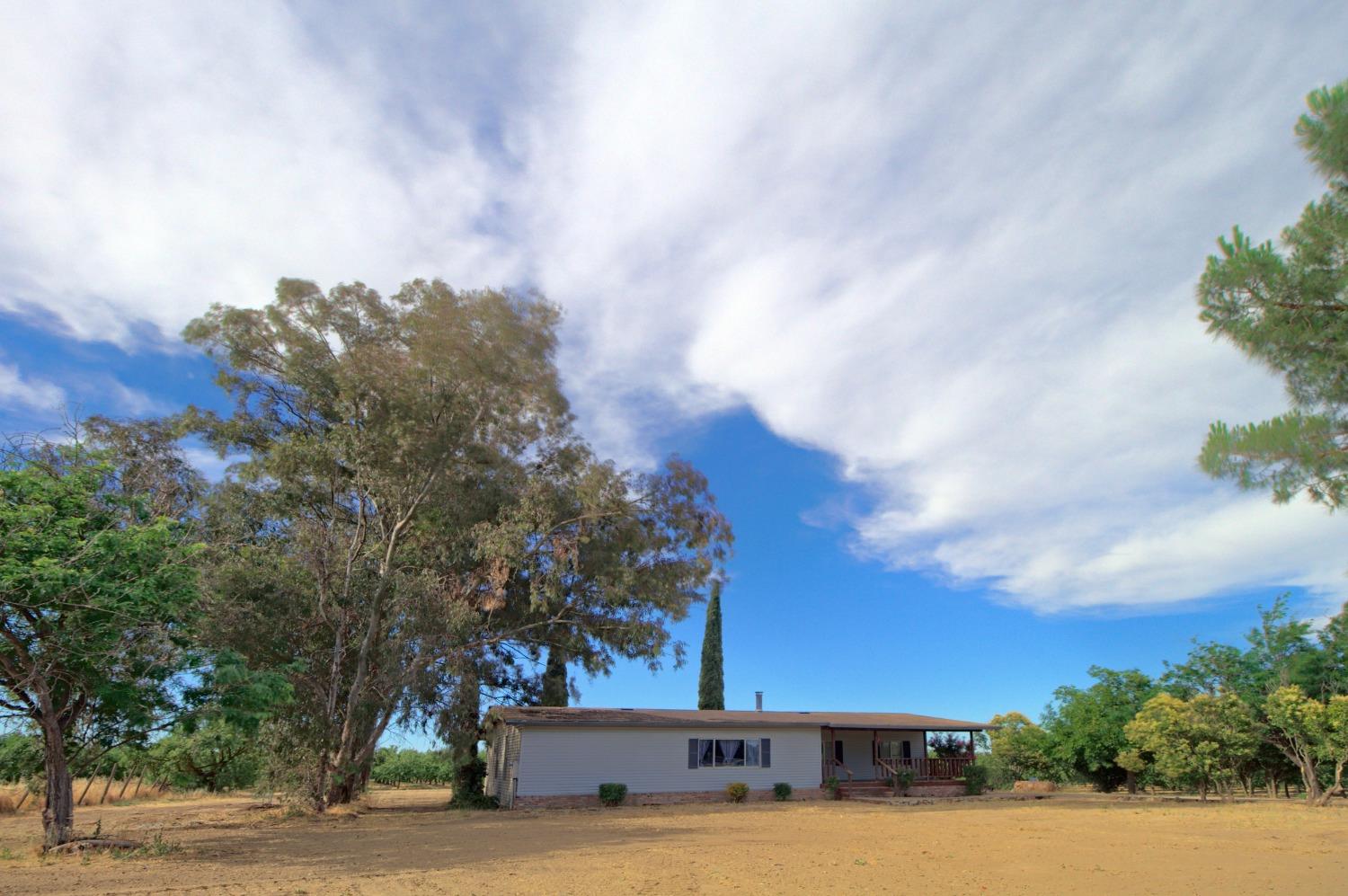 Wagner Avenue, Arbuckle, California image 9