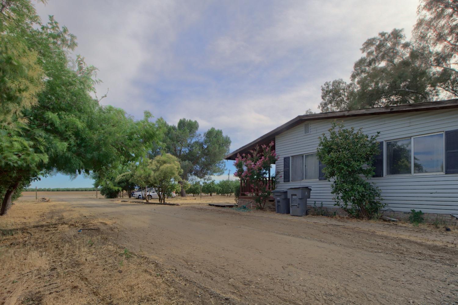 Wagner Avenue, Arbuckle, California image 8