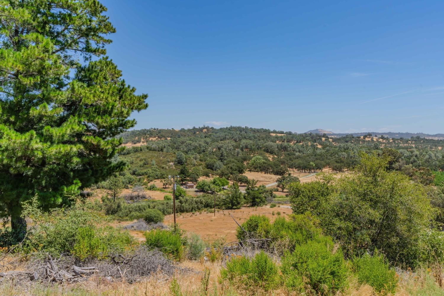 Detail Gallery Image 17 of 43 For 3501 Buena Vista Road, Ione,  CA 95640 - 3 Beds | 2 Baths