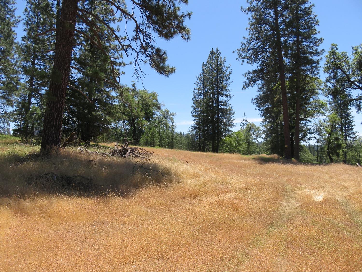 Detail Gallery Image 9 of 16 For 4426 Bald Mountain Road, West Point,  CA 95255 - 3 Beds | 2 Baths