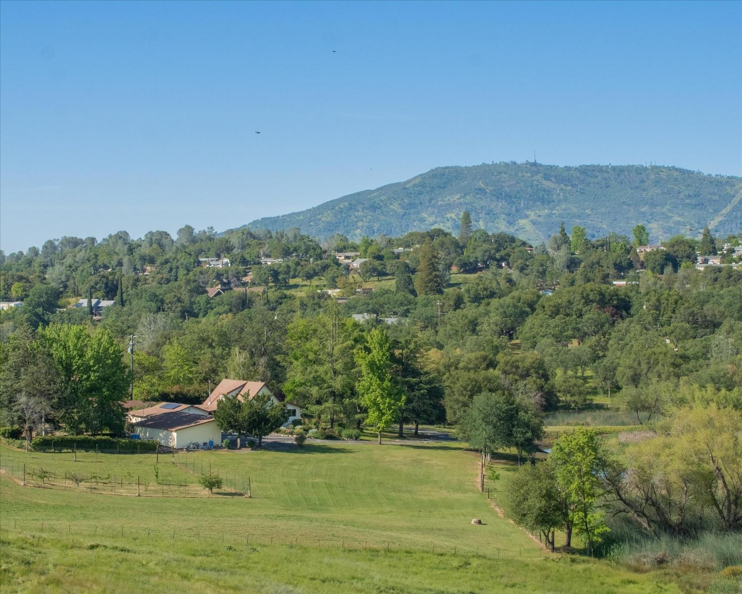 Purdy, Angels Camp, California image 2