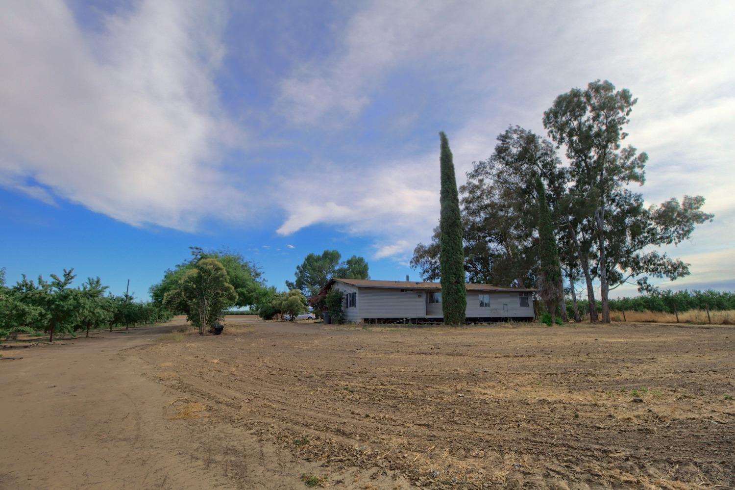 Wagner Avenue, Arbuckle, California image 10