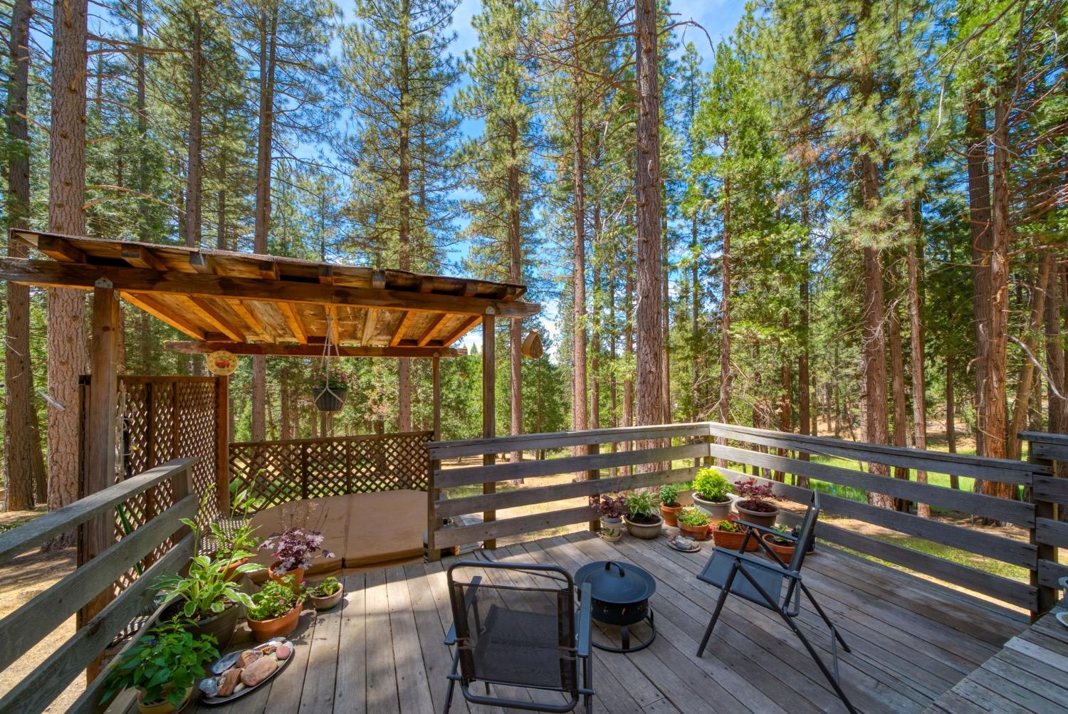 Detail Gallery Image 45 of 46 For 1496 Red Fox Rd, Clio,  CA 96106 - 4 Beds | 1/1 Baths