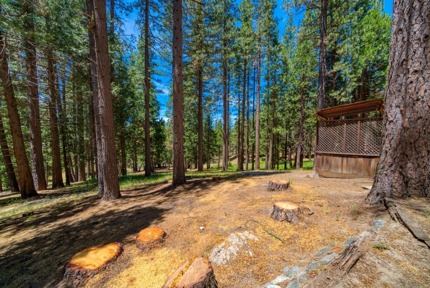 Detail Gallery Image 38 of 46 For 1496 Red Fox Rd, Clio,  CA 96106 - 4 Beds | 1/1 Baths