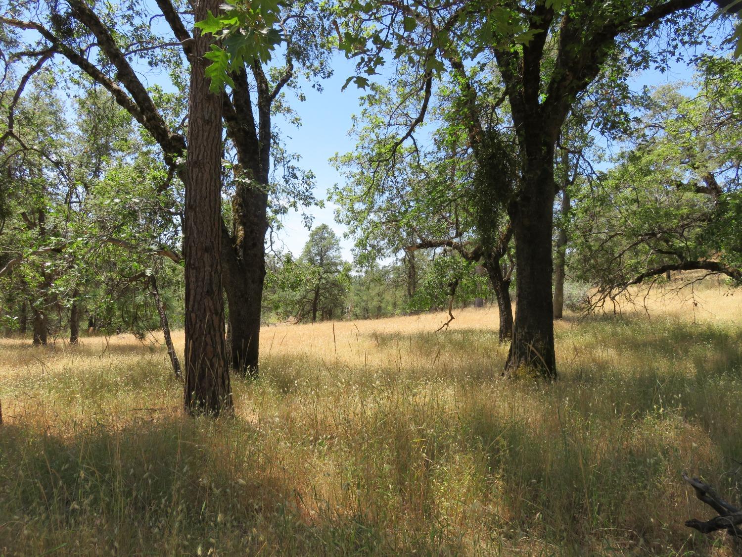 Detail Gallery Image 3 of 16 For 4426 Bald Mountain Road, West Point,  CA 95255 - 3 Beds | 2 Baths