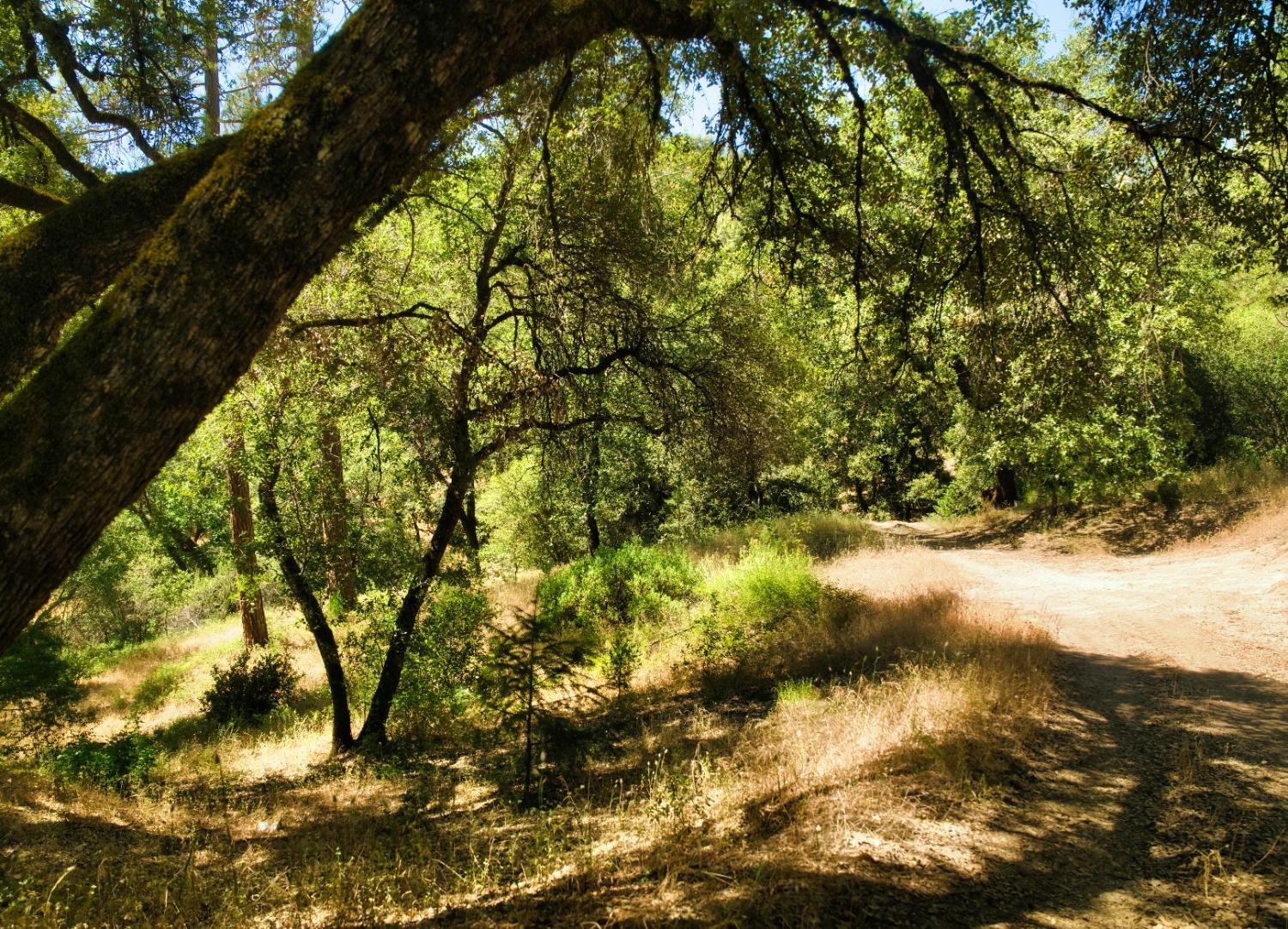 Detail Gallery Image 62 of 68 For 6432 Happy Valley Rd, Somerset,  CA 95684 - 4 Beds | 2/1 Baths