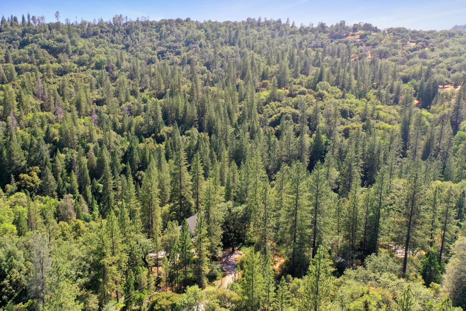 Boondock Trail, Somerset, California image 6