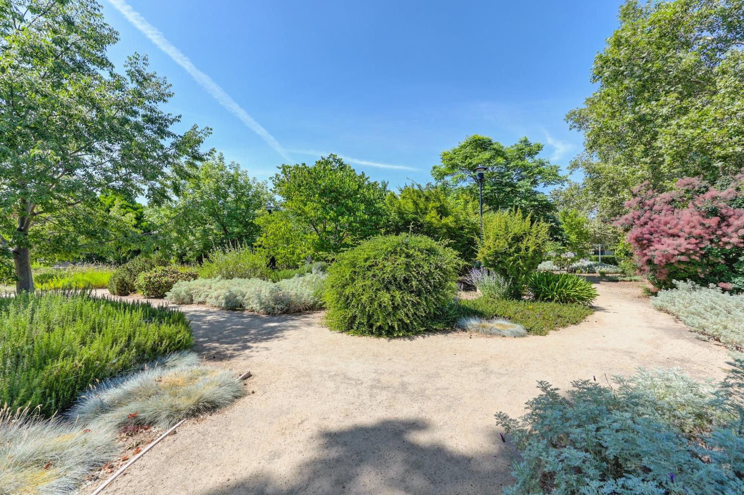 Bridlewood Drive, Rancho Cordova, California image 34