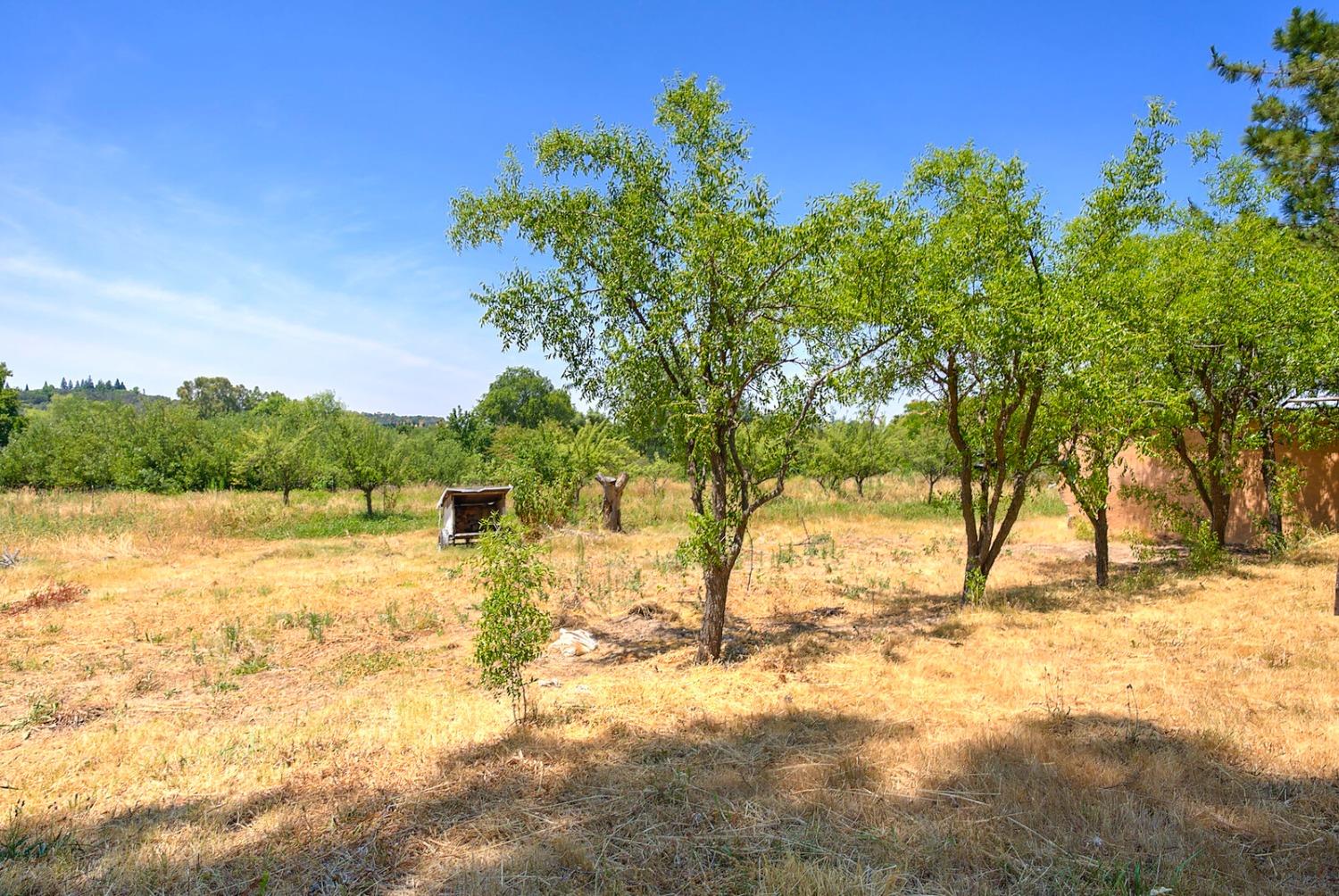 Barton Road, Loomis, California image 43