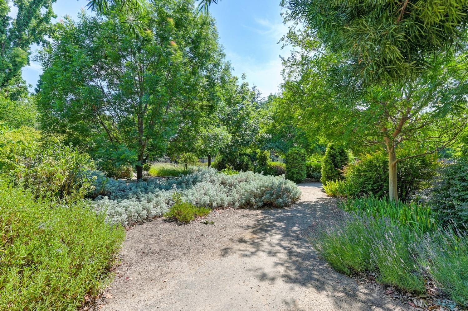 Bridlewood Drive, Rancho Cordova, California image 33