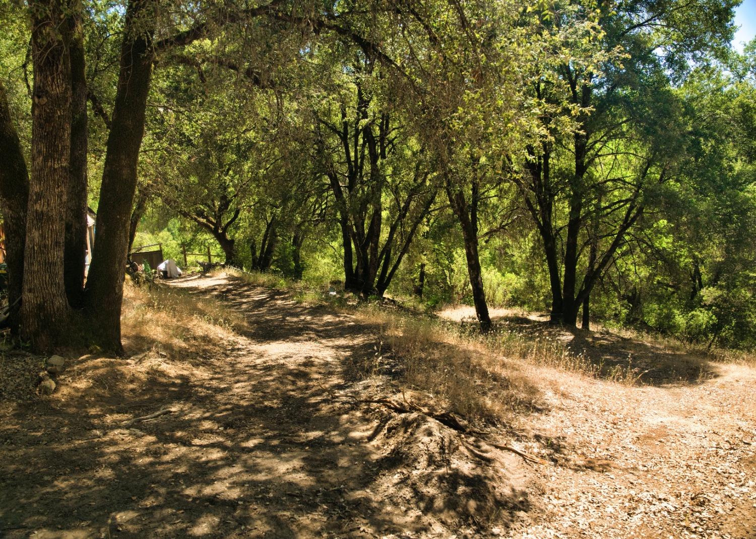 Detail Gallery Image 61 of 68 For 6432 Happy Valley Rd, Somerset,  CA 95684 - 4 Beds | 2/1 Baths