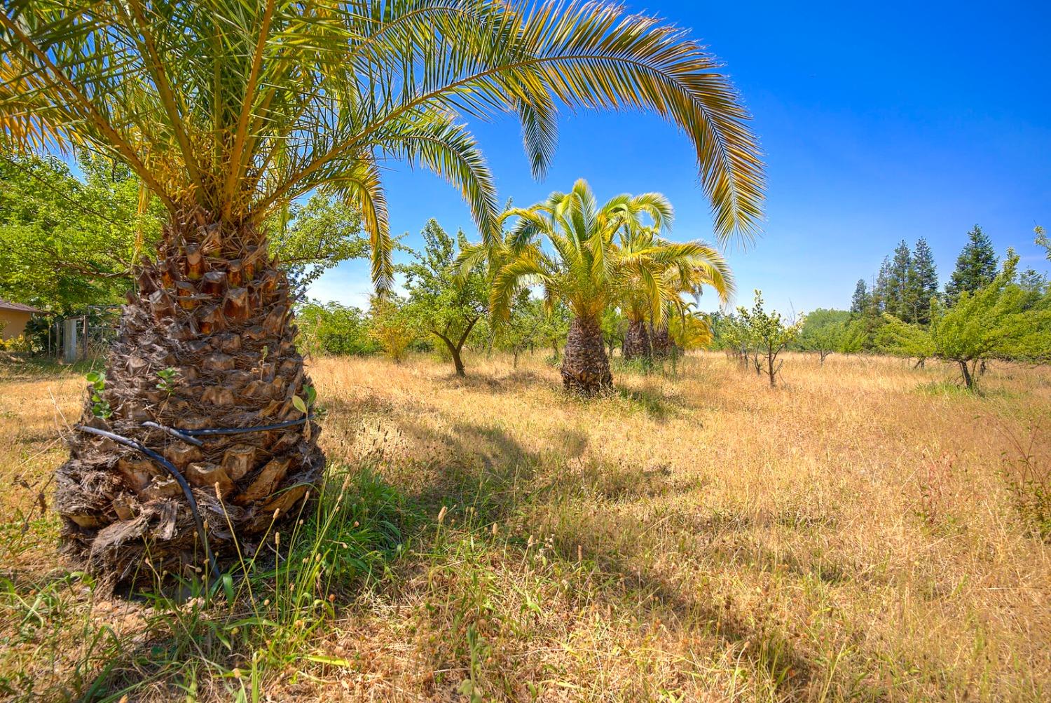 Barton Road, Loomis, California image 45