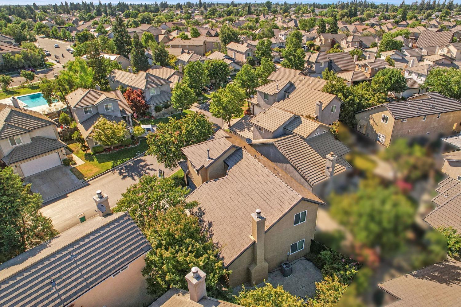 Pippen Lane, Lodi, California image 39