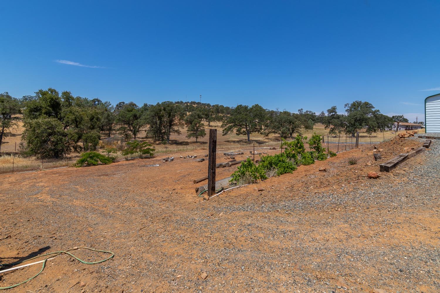 Cadena Way, Coulterville, California image 8