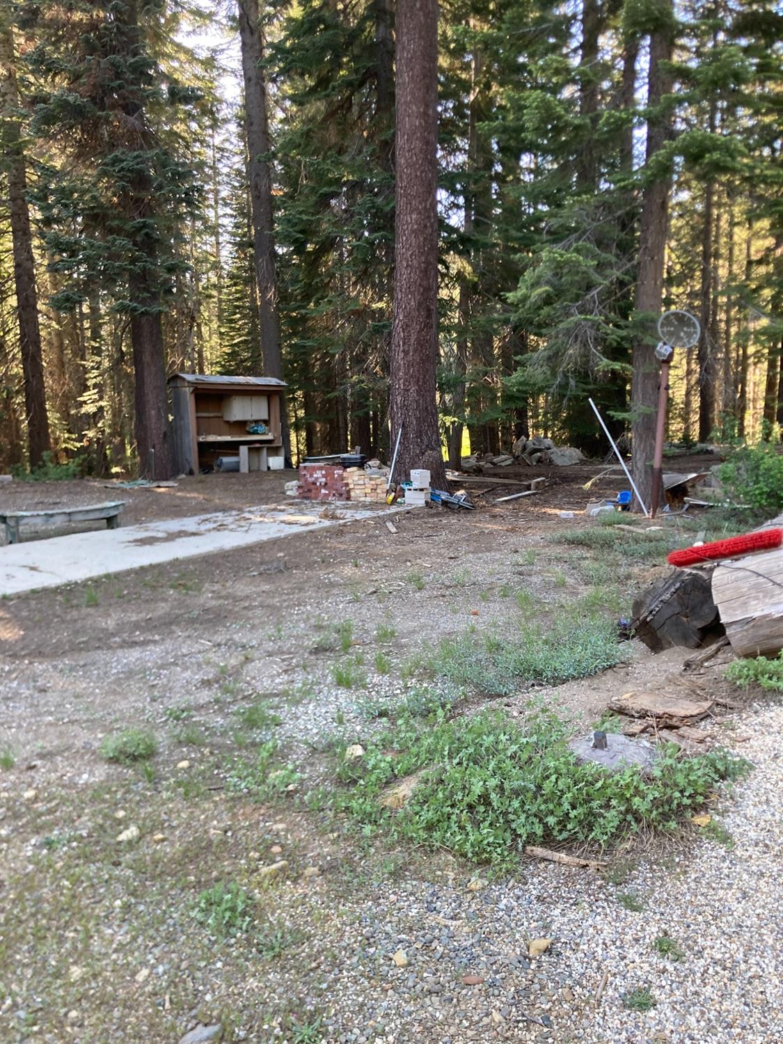 Grizzly Loop, Bucks Lake, California image 12