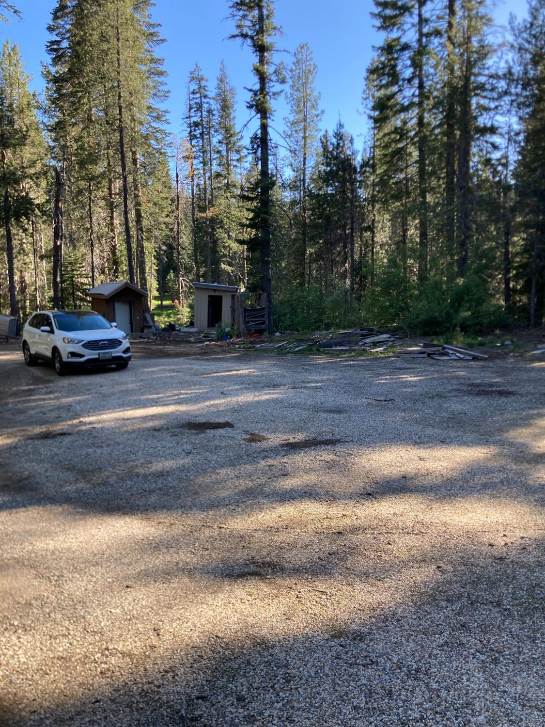 Grizzly Loop, Bucks Lake, California image 11