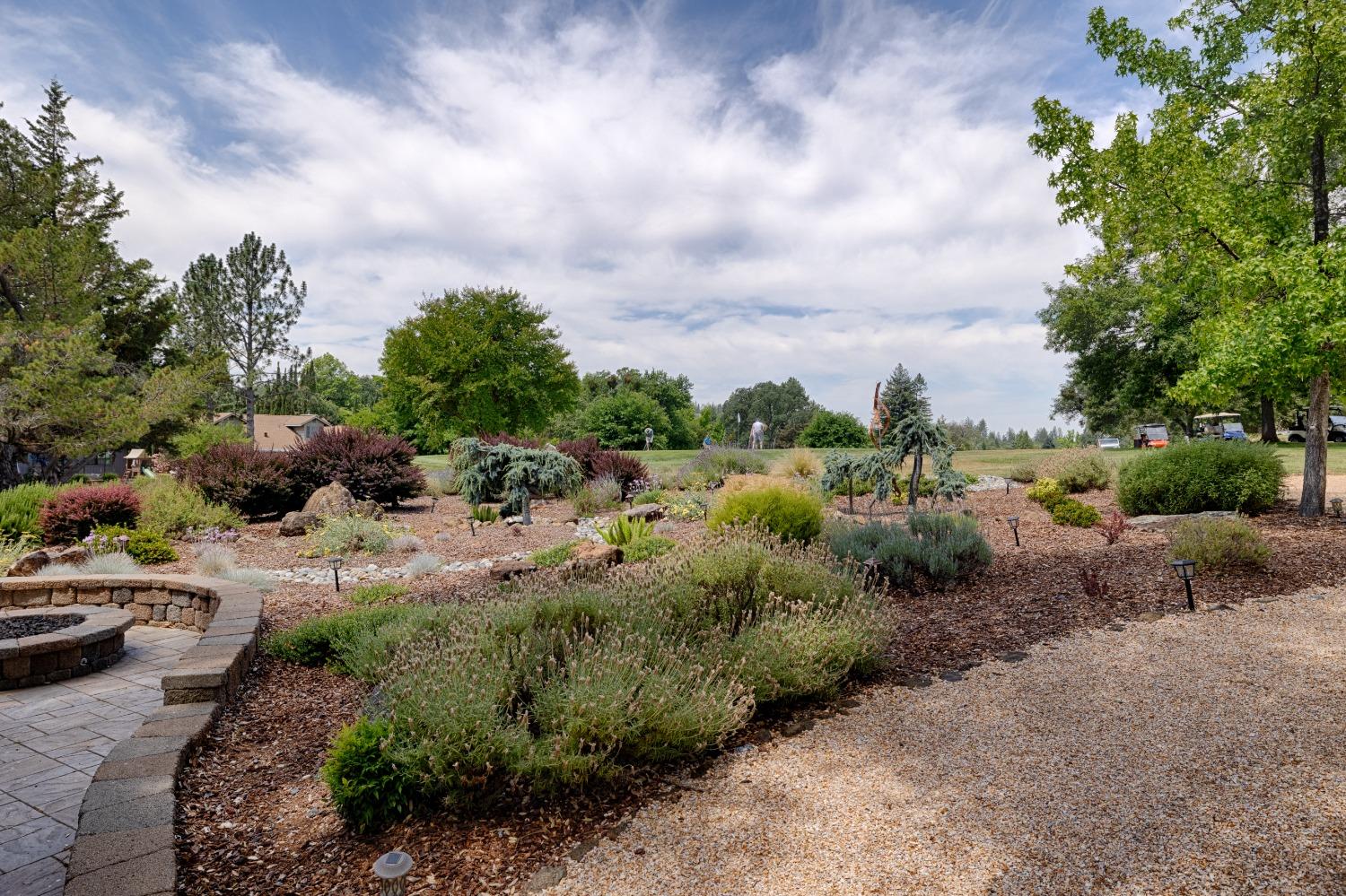 Torrey Pines Drive, Auburn, California image 18