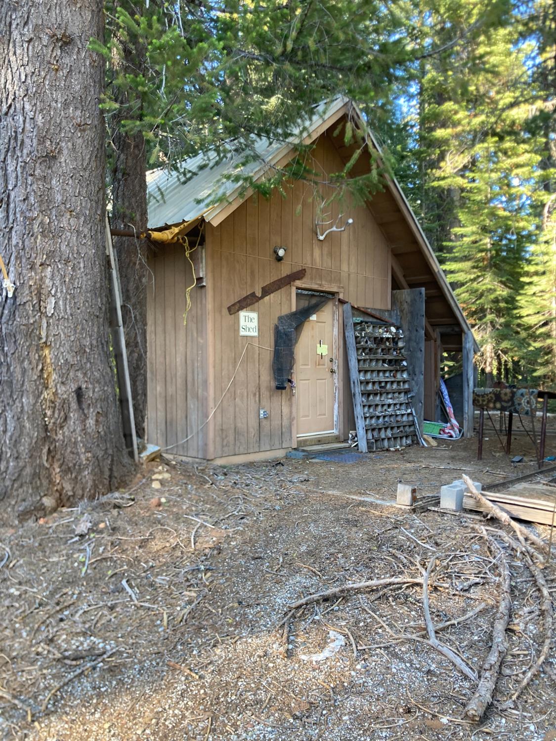 Grizzly Loop, Bucks Lake, California image 3