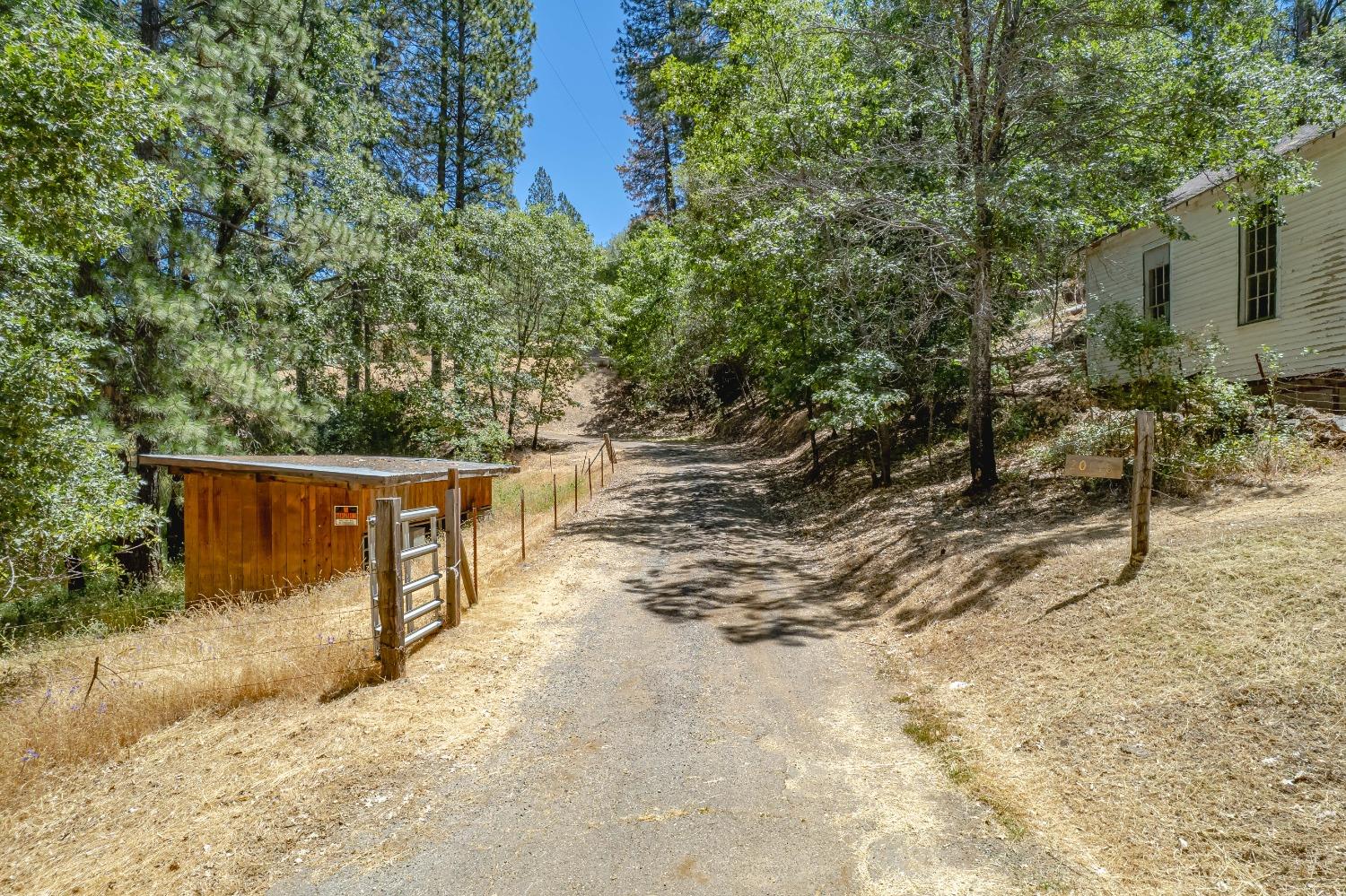 American Flat Road, Fiddletown, California image 19