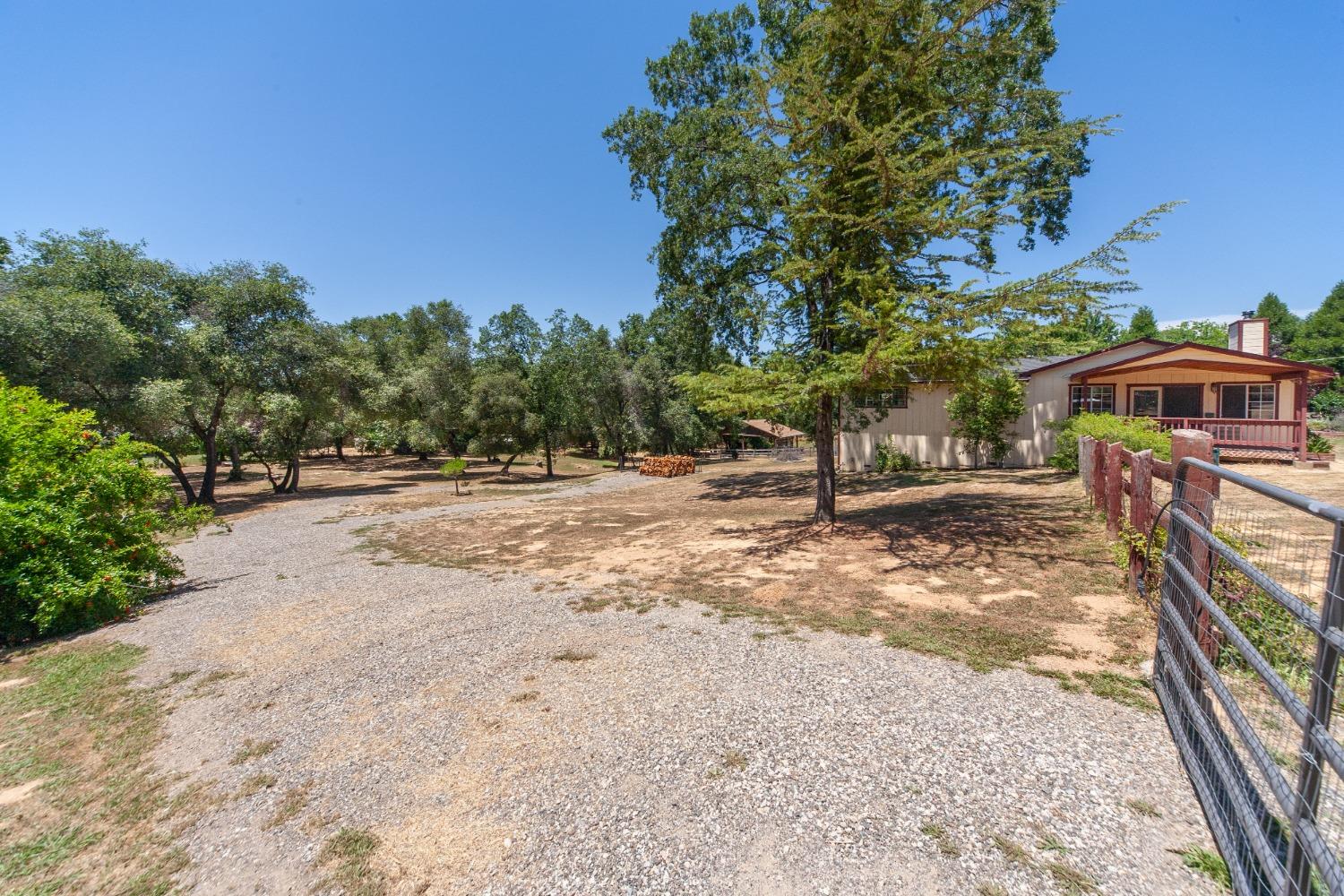 Detail Gallery Image 42 of 52 For 3720 Marinko Ct, Placerville,  CA 95667 - 4 Beds | 3 Baths