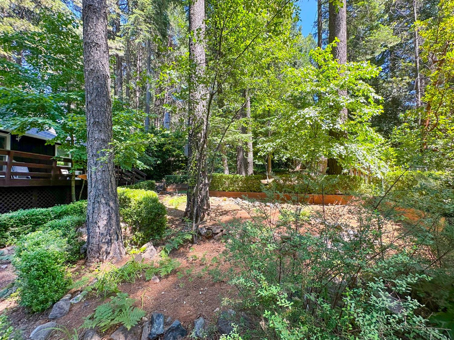 Detail Gallery Image 27 of 27 For 16878 Pasquale Rd, Nevada City,  CA 95959 - 3 Beds | 2 Baths