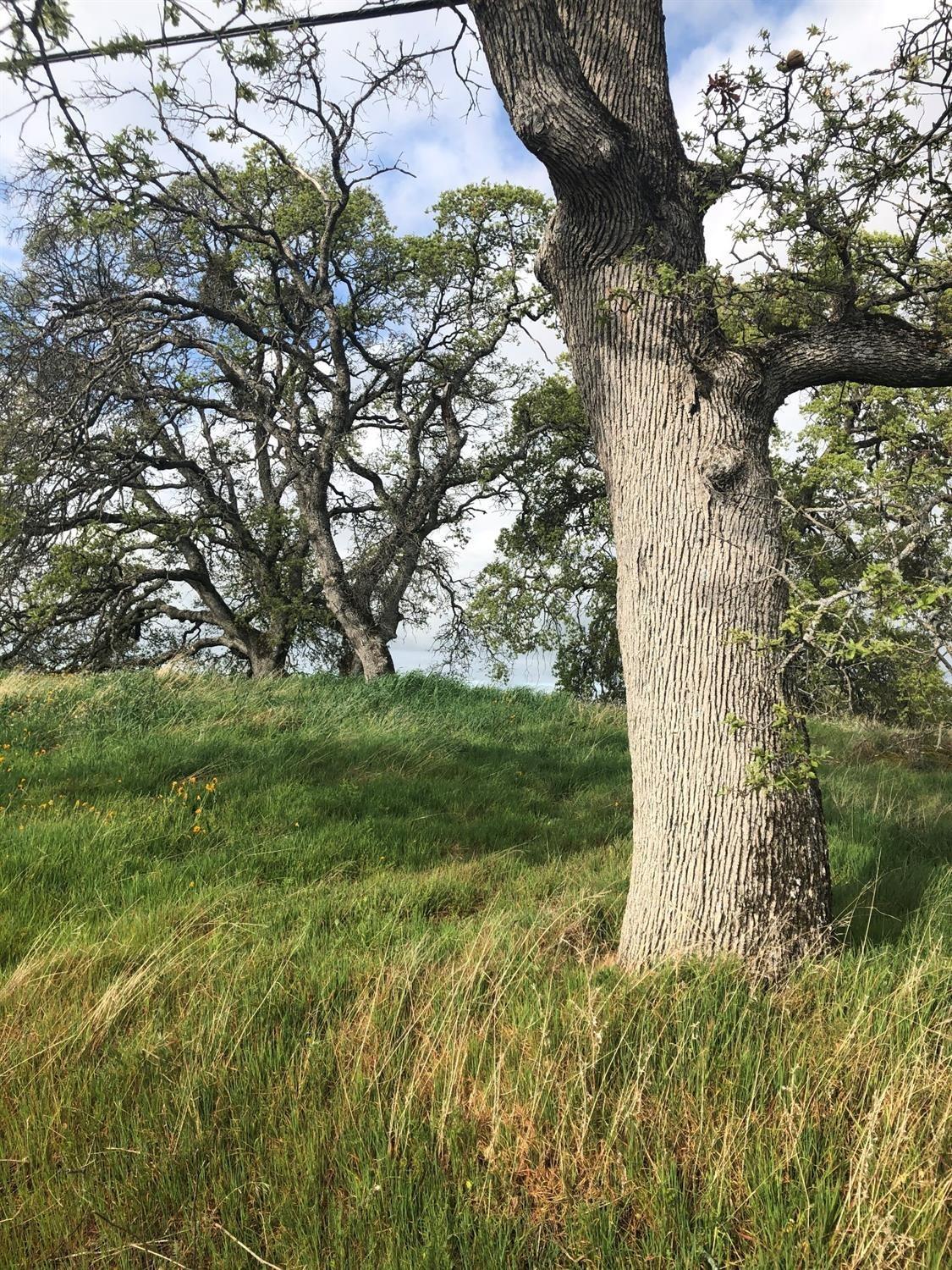 Banderilla Drive, La Grange, California image 7