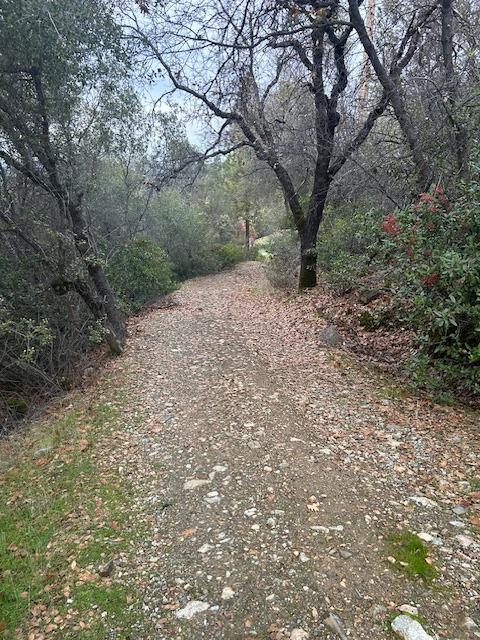 12911 Long Valley Road, Penn Valley, California image 7