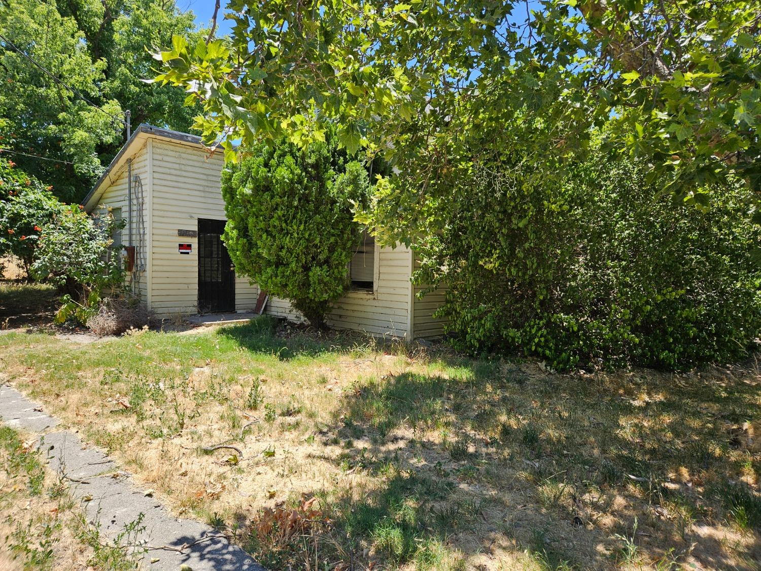 Hays Street, Dunnigan, California image 1