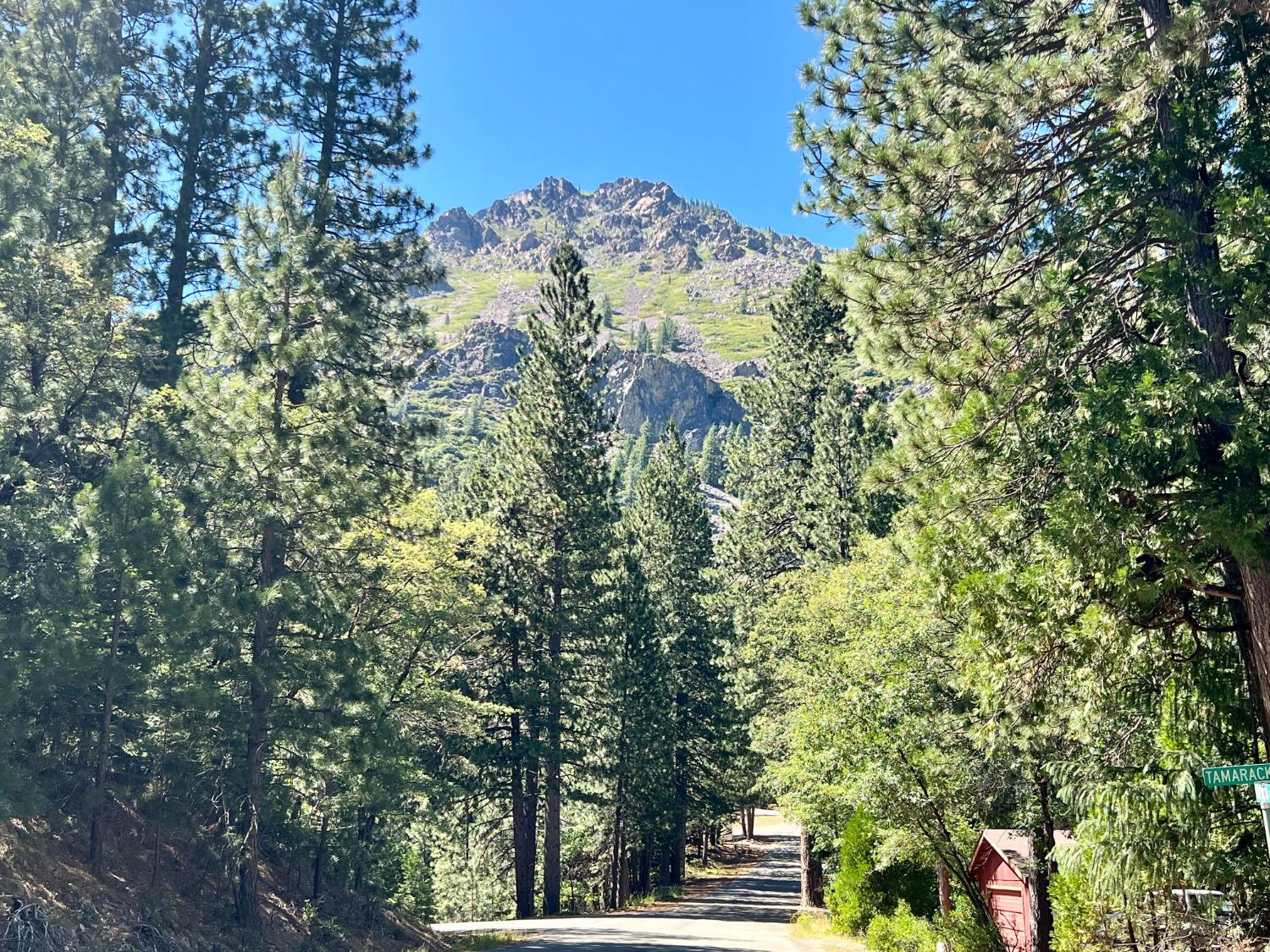 Tamarack Bend, Sierra City, California image 1