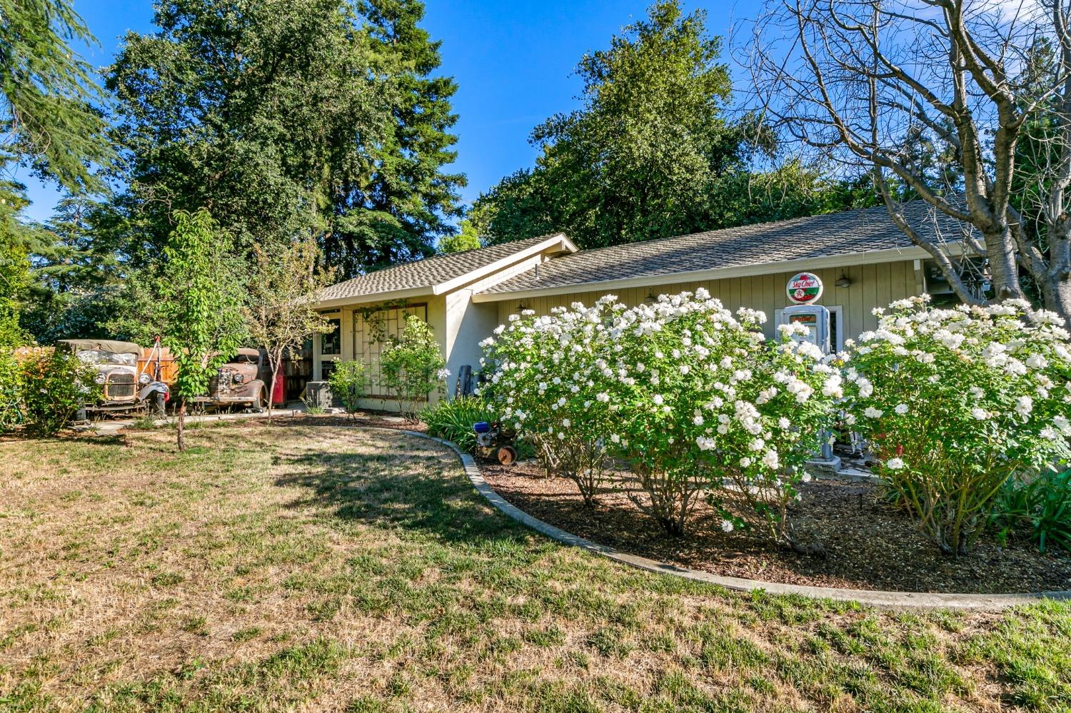 Detail Gallery Image 59 of 77 For 1509 Midway Dr, Woodland,  CA 95695 - 4 Beds | 3/1 Baths