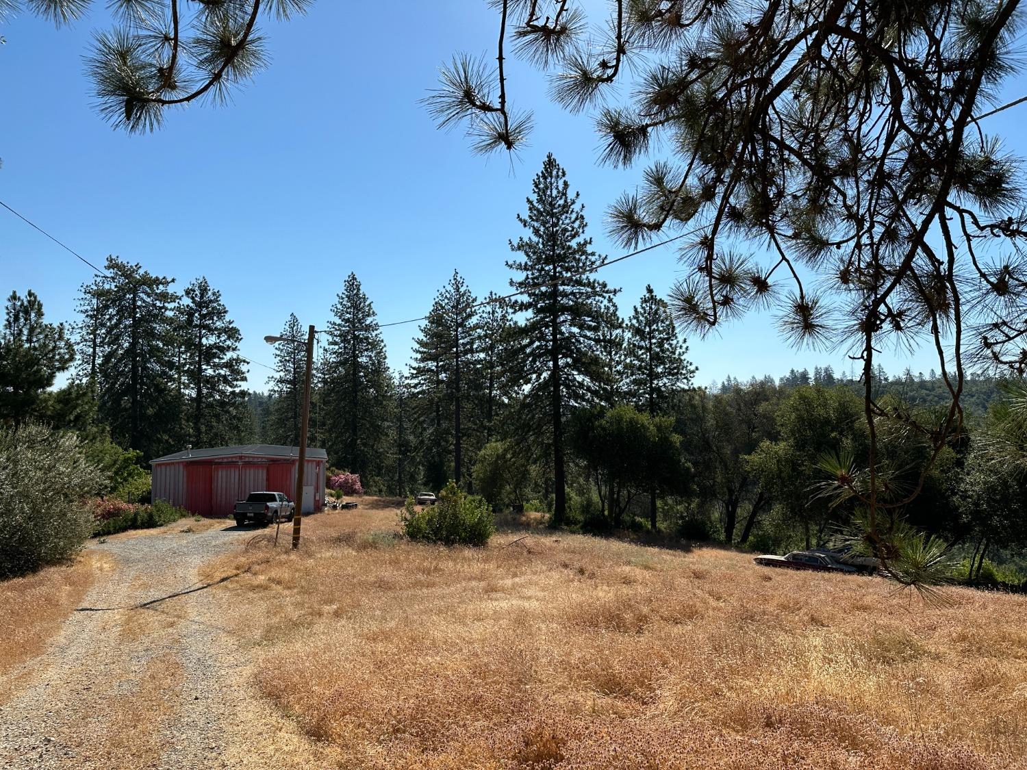 Falcon Mine Road, Murphys, California image 8