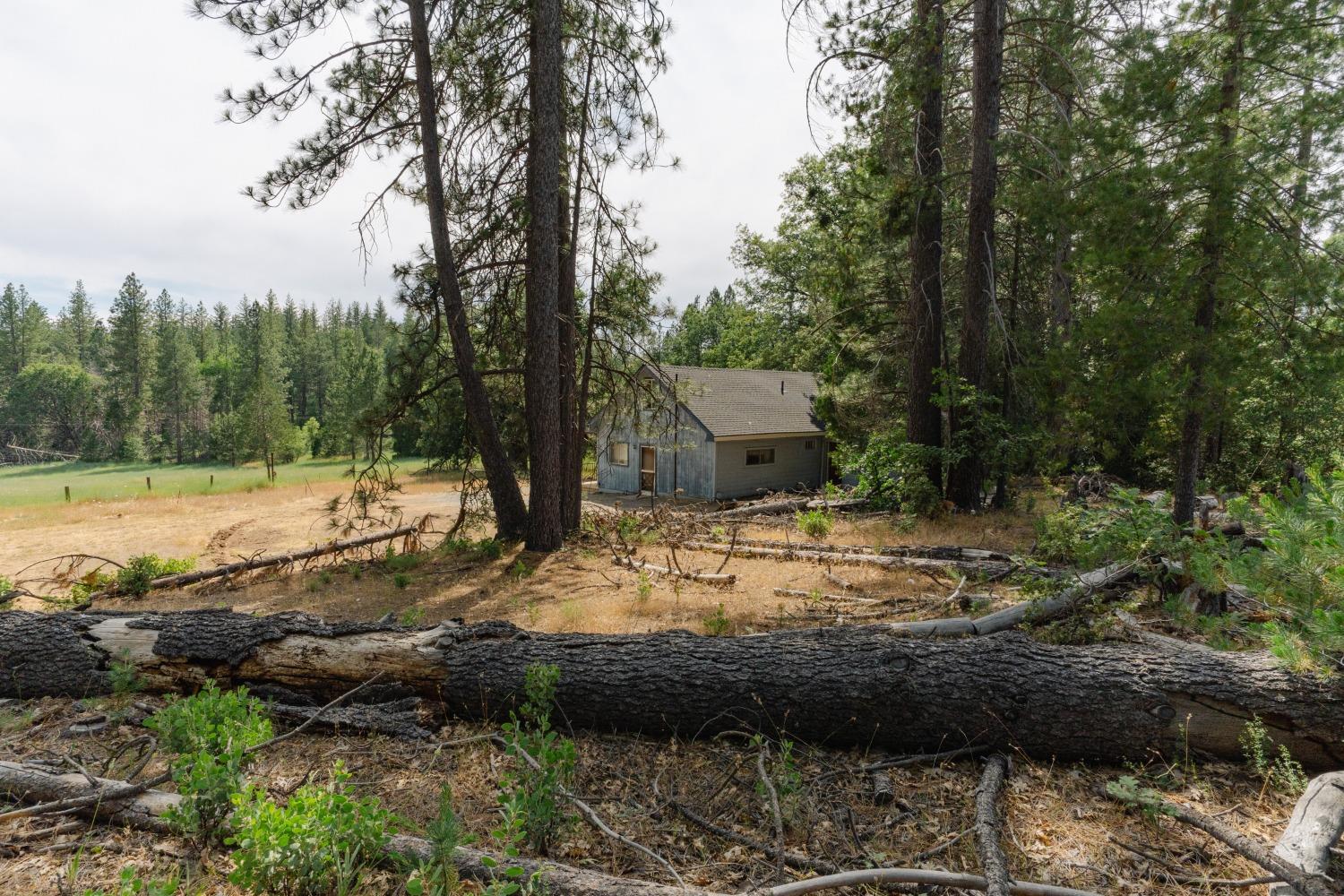 Stout Lane, Coulterville, California image 50