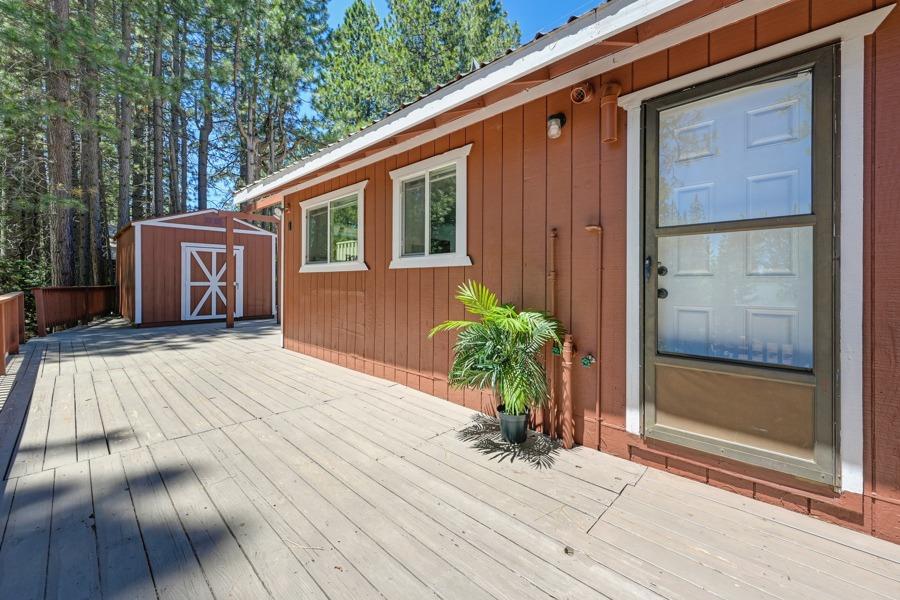 Detail Gallery Image 28 of 36 For 41010 Putt Rd, Emigrant Gap,  CA 95715 - 2 Beds | 1/1 Baths