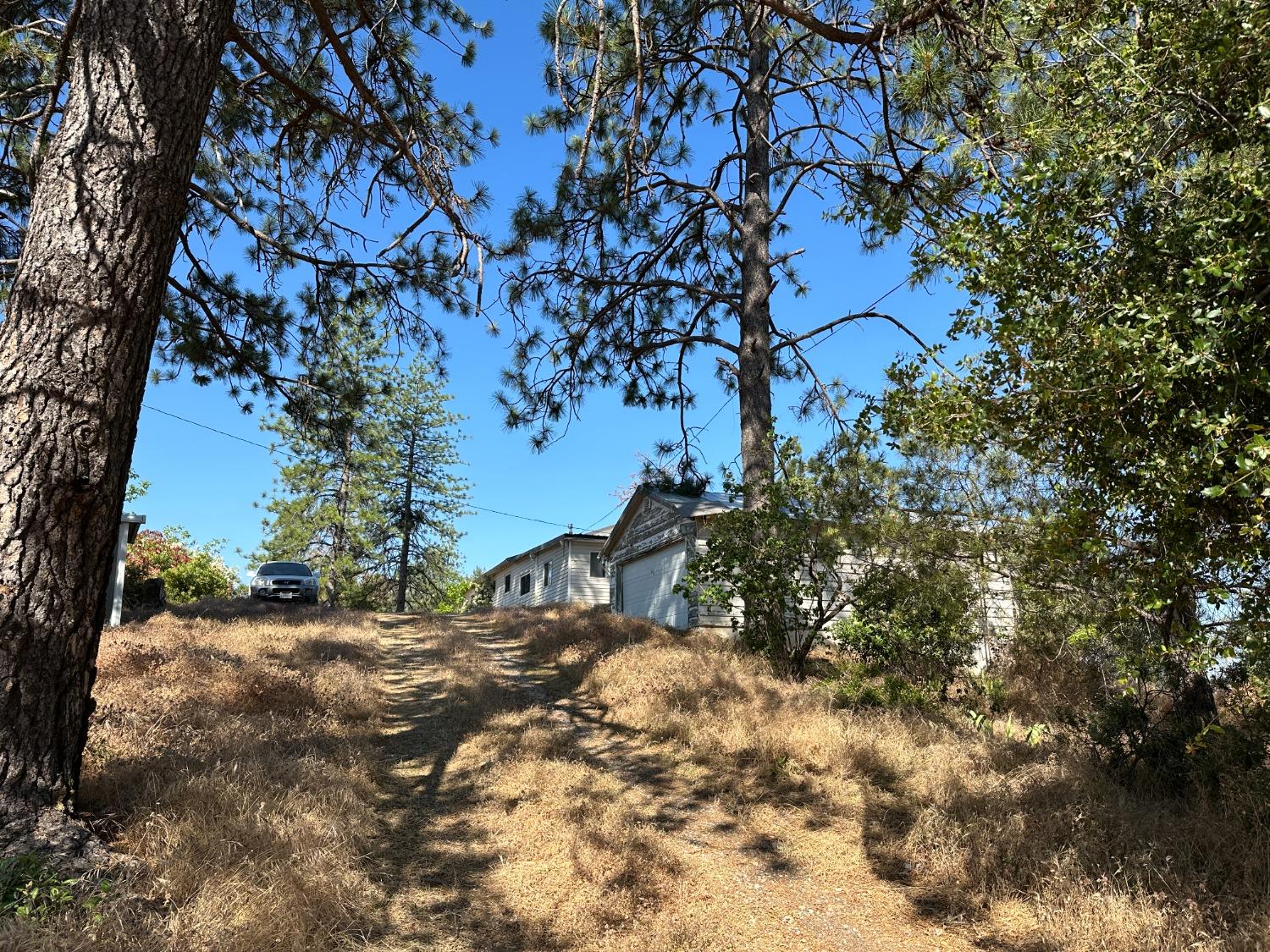 Falcon Mine Road, Murphys, California image 7