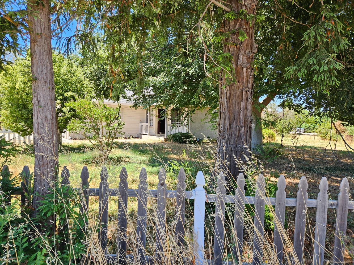 29086 Main Street, Dunnigan, California image 2