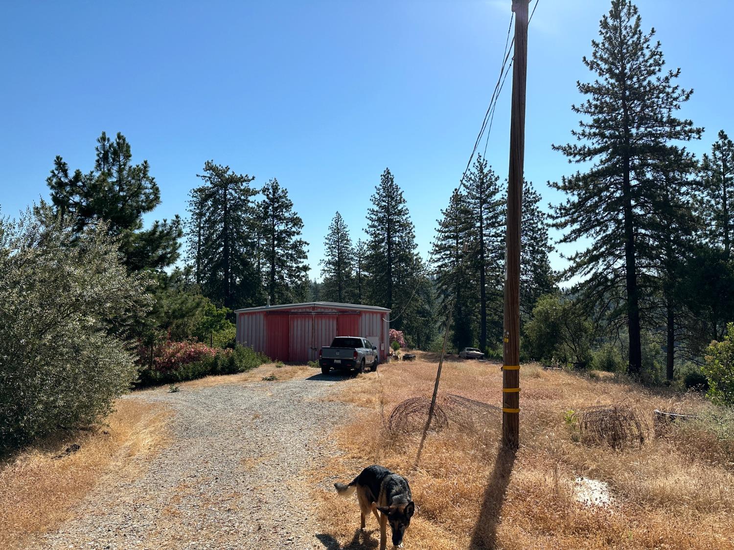 Falcon Mine Road, Murphys, California image 1