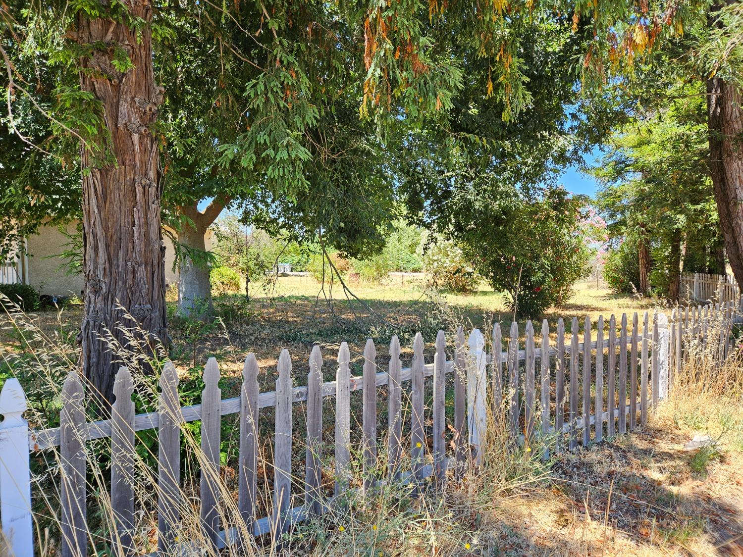 29086 Main Street, Dunnigan, California image 3