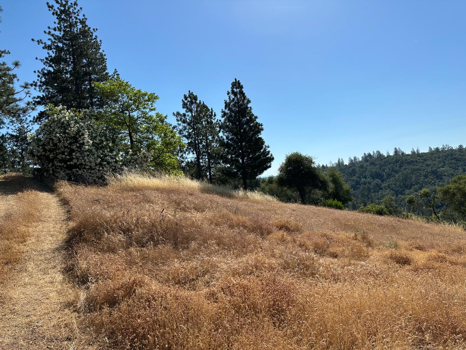 Falcon Mine Road, Murphys, California image 13