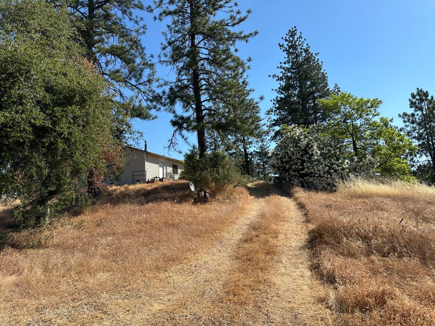 Falcon Mine Road, Murphys, California image 6