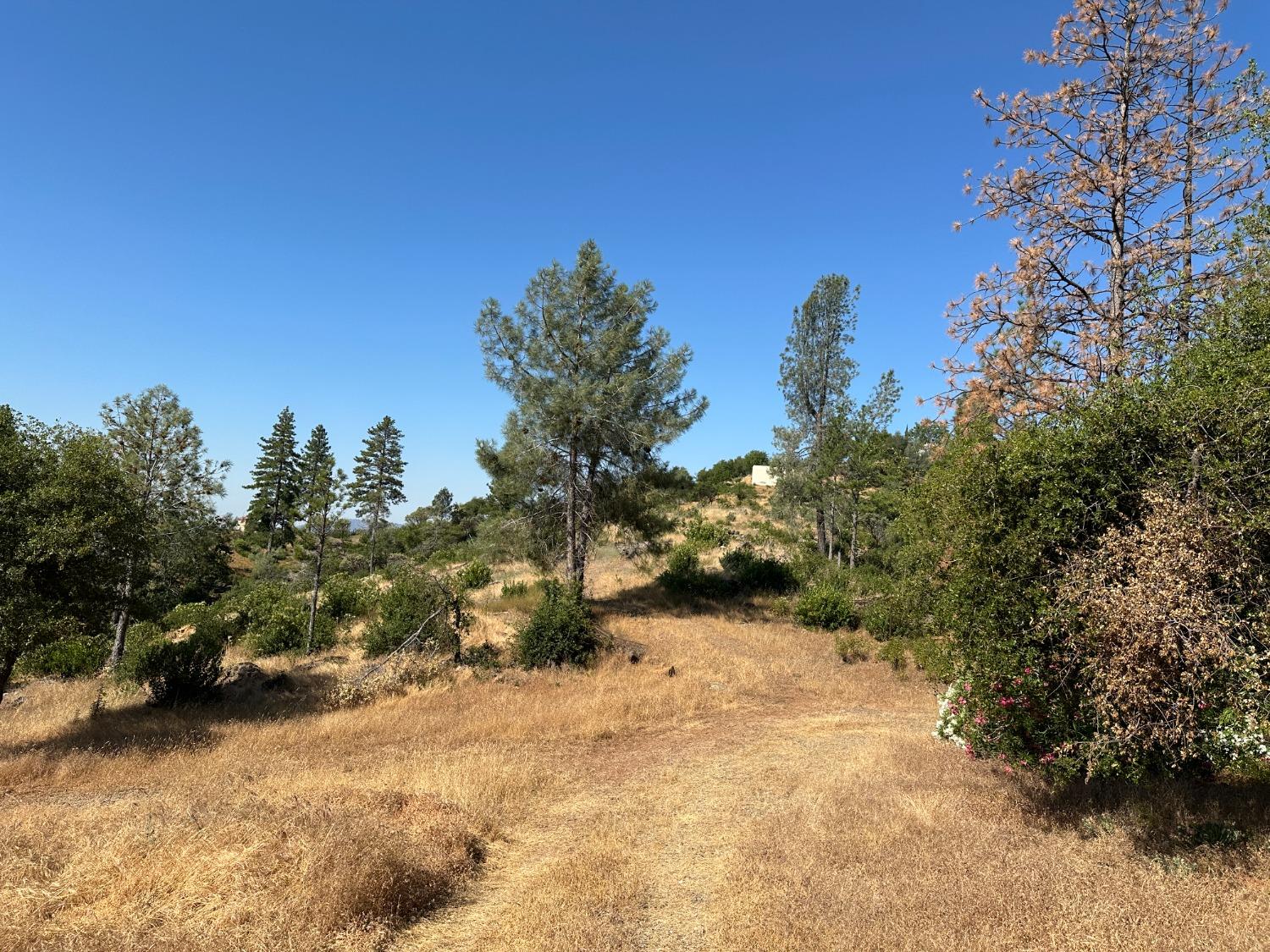 Falcon Mine Road, Murphys, California image 10