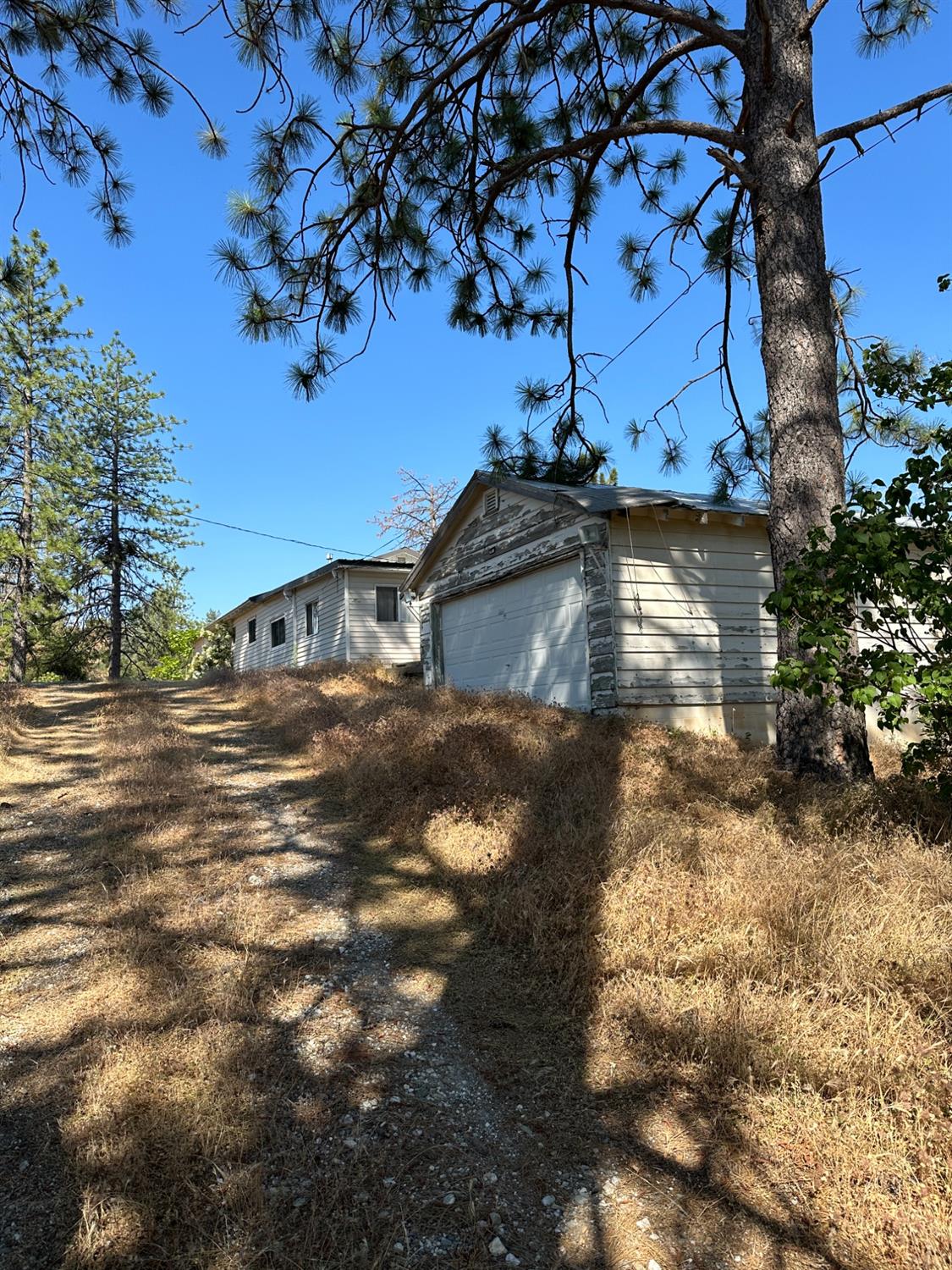 Falcon Mine Road, Murphys, California image 21