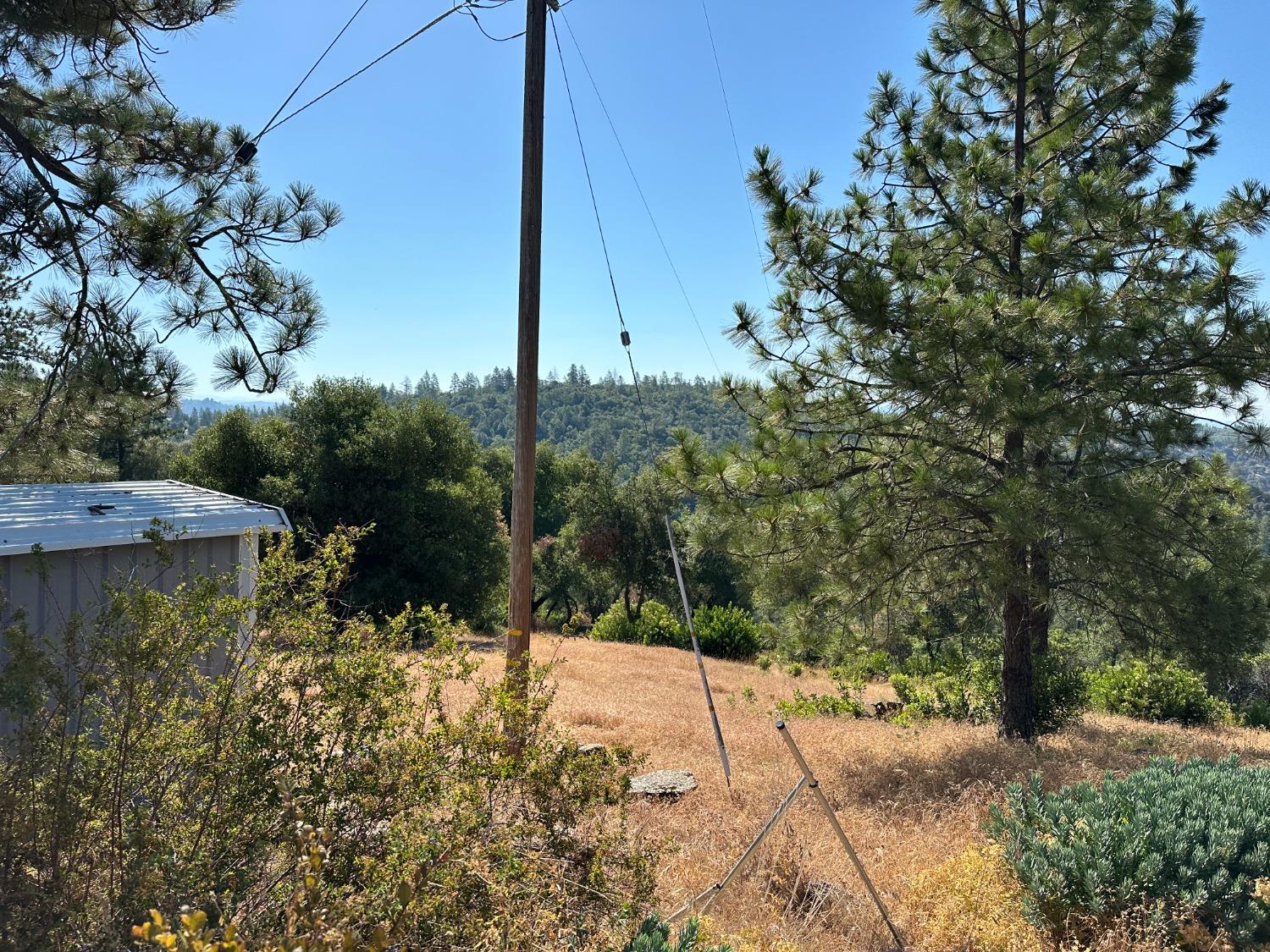 Falcon Mine Road, Murphys, California image 18