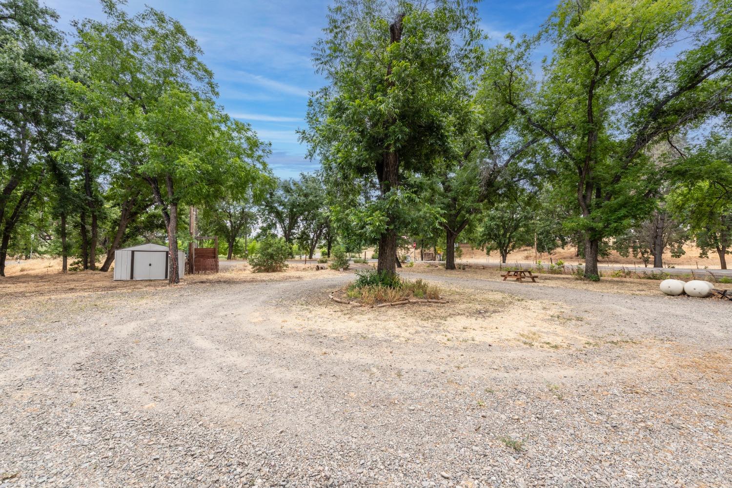 Detail Gallery Image 13 of 25 For 17022 County Road 57, Guinda,  CA 95637 - 0 Beds | 1 Baths