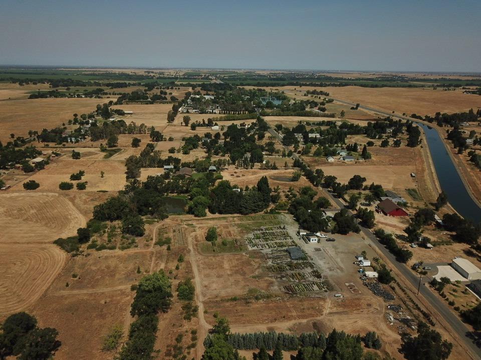 Quince Lane, Wilton, California image 17