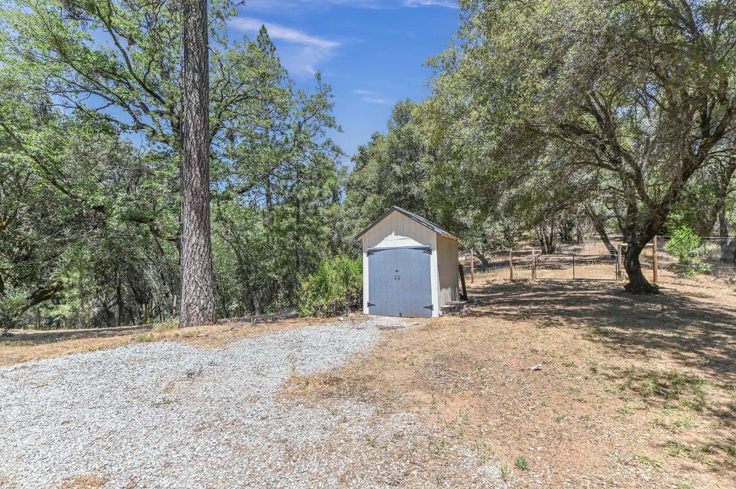 Detail Gallery Image 55 of 79 For 17050 Rams Horn Grade, Volcano,  CA 95689 - 3 Beds | 2/1 Baths