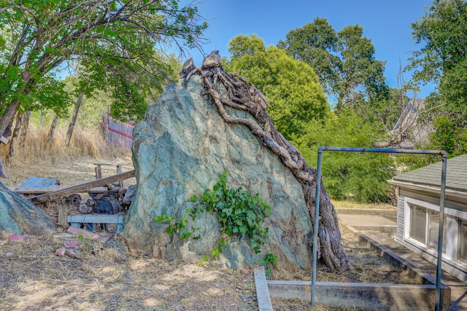 Finnegan Lane, Angels Camp, California image 13