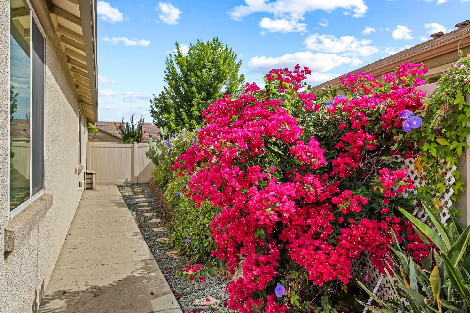 Detail Gallery Image 37 of 83 For 1478 Arbor Brook Dr, Manteca,  CA 95336 - 3 Beds | 2 Baths