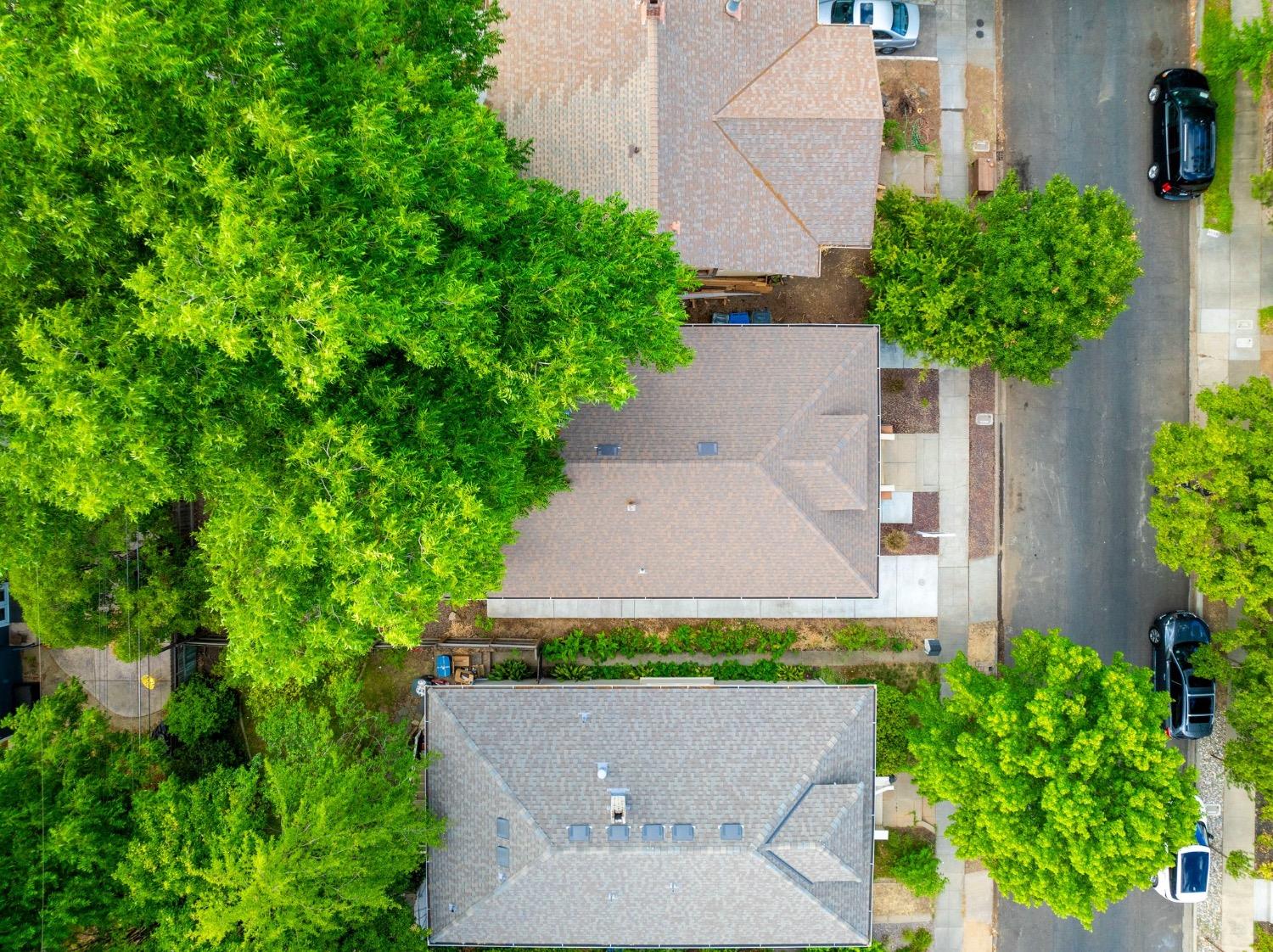 Santa Barbara Court, Sacramento, CA, 95816-5348