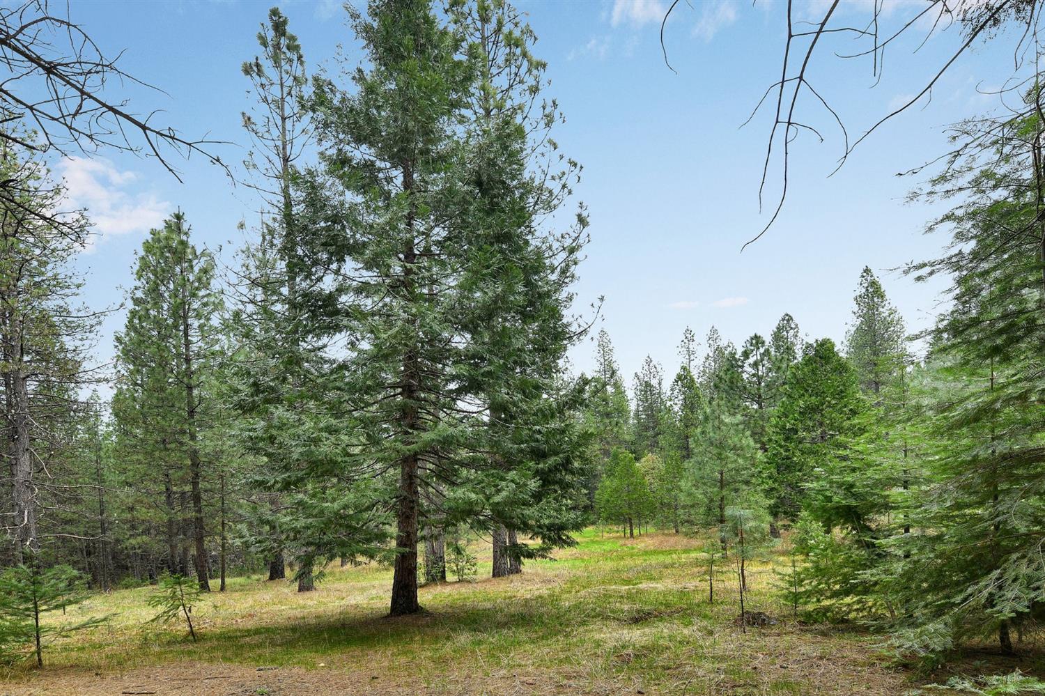 Lot 1 Baker Road, Camptonville, California image 39